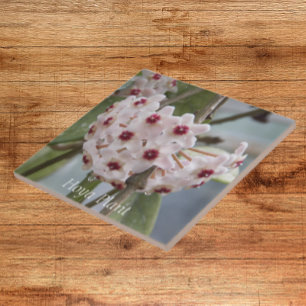 Hoya Plant Flowers Floral Tile