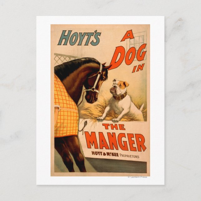 Hoyt's A dog in the Manger Theatre Poster Holiday Postcard (Front)