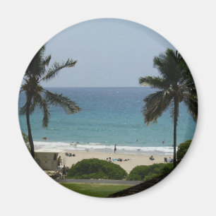 HPIM0170 MAGNET