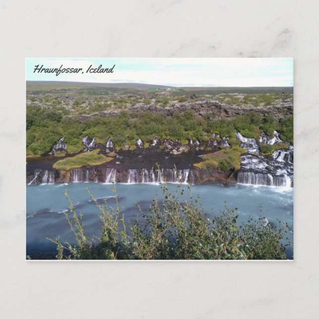 Hraunfossar waterfall in Iceland Postcard (Front)
