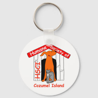 HSCI Keychain