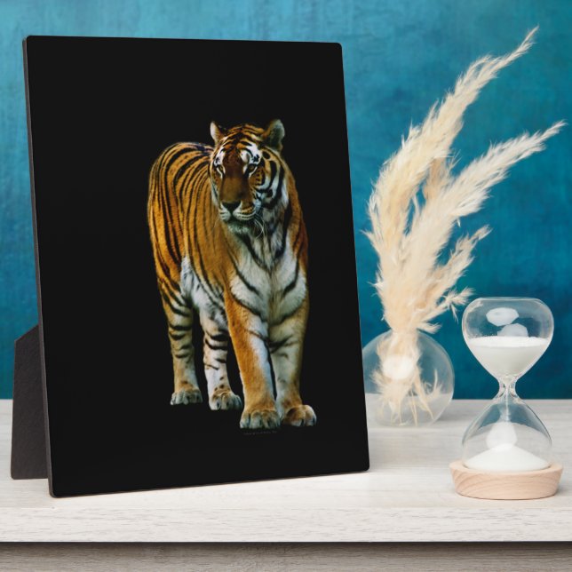 Hu Lin Plaque (Side)