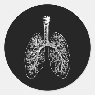 Hu Lungs Anatomy Pulmonologist Respiratory Lungs Classic Round Sticker