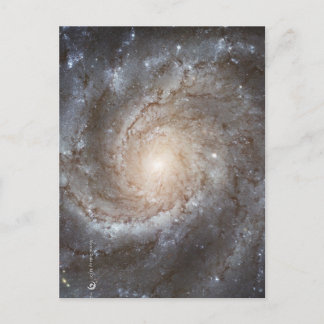 Hubble Galactic Image on Every Day Products Postcard