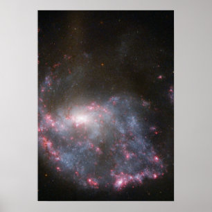 Hubble Sees a Galaxy Hit a Bull's-Eye Poster