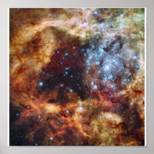 Hubble's Festive View of a Grand Star-Forming Regi Poster
