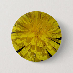 Hübsche Löwenzahnblüte 6 Cm Round Badge
