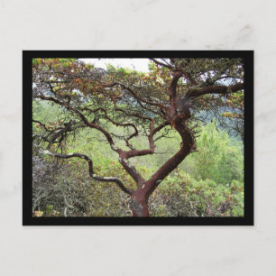 Huckleberry Preserve Postcard