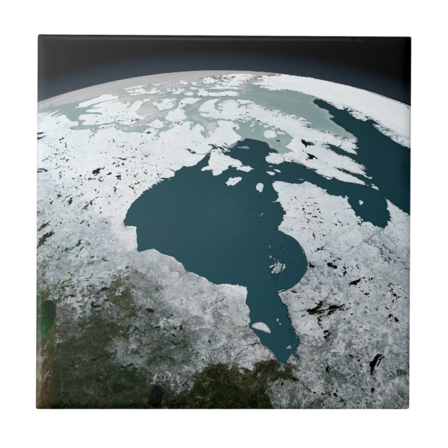 Hudson Bay Sea Ice On November 14, 2005. Tile (Front)