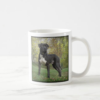 Hudson - I Love My Pit Bull Terrier! Mug