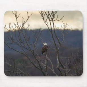 Hudson Valley Eagle Mouse Mat
