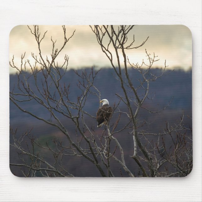 Hudson Valley Eagle Mouse Mat (Front)