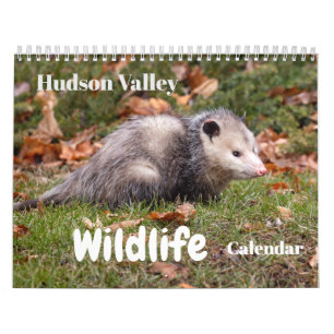 Hudson Valley Wildlife Calendar