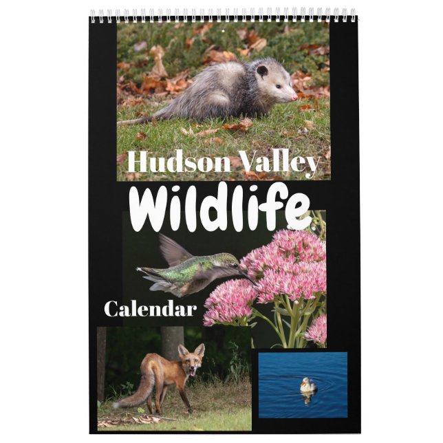 Hudson Valley Wildlife Calendar (Cover)