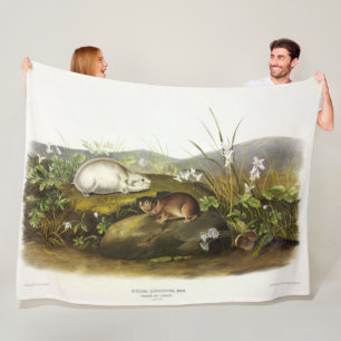 Hudson's Bay (Ungava Collared) Lemming by Audubon Fleece Blanket