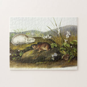 Hudson's Bay (Ungava Collared) Lemming by Audubon Jigsaw Puzzle