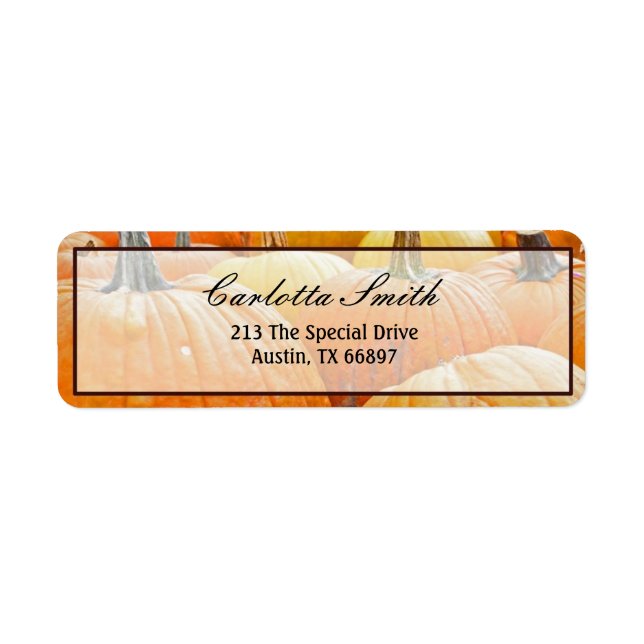 Hue of Pumpkins (Front)