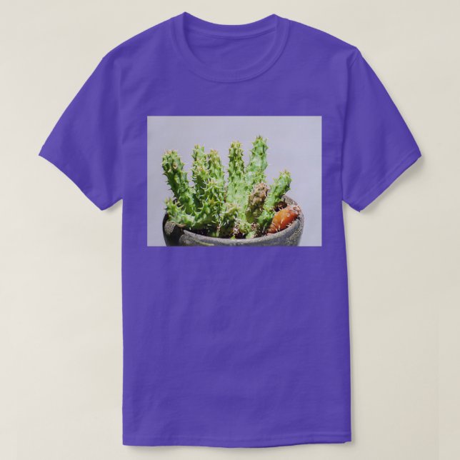 Huernia hystrix Porcupine Huernia T-Shirt (Design Front)