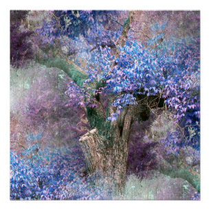 Hues of Spring... Poster