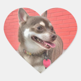 Huey Has my Heart Stickers! Sticker