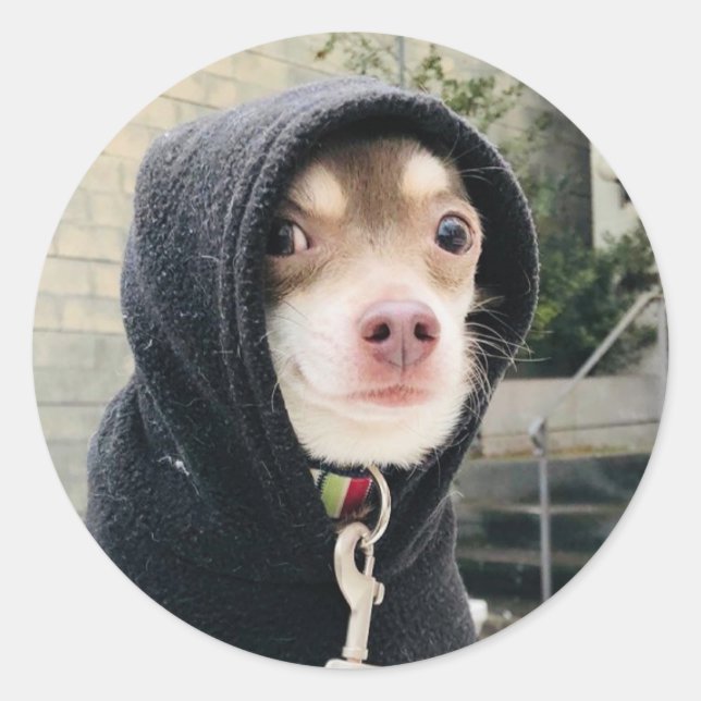 Huey in Disguise Stickers!! Classic Round Sticker (Front)