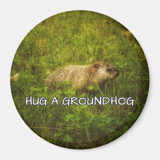 Hug a groundhog magnet