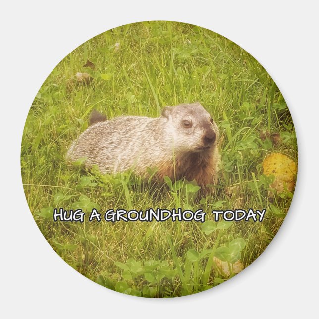 Hug a groundhog today magnet (Front)