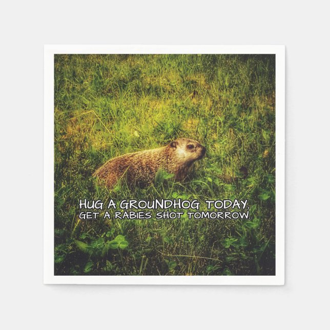 Hug a groundhog today napkins (Front)