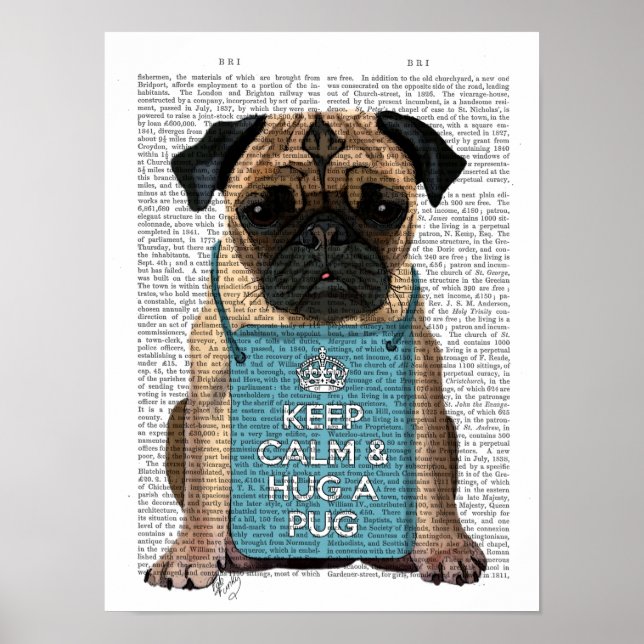 Hug a Pug Poster (Front)