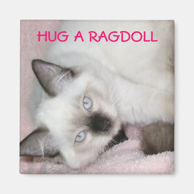HUG A RAGDOLL MAGNET (Front)