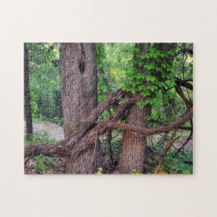 Hug a Tree Fun Nature Puzzle