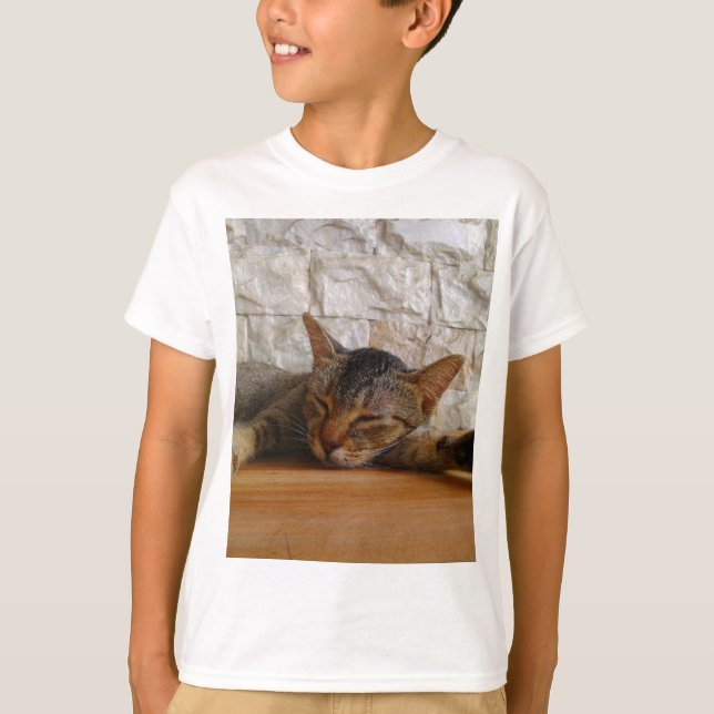 Hug Cat T-Shirt (Front)