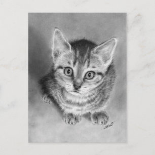 Hug me pleasem Kitten Postcard
