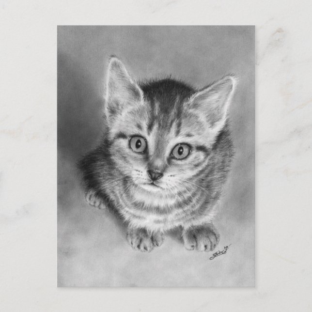 Hug me pleasem Kitten Postcard (Front)
