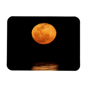 Huge Full Moon   South Padre Island, Texas Magnet