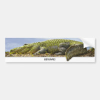 Huge Gator Panoramic Photography - Beware 