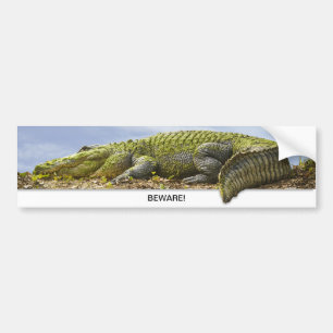 Huge Gator Panoramic Photography - Beware Bumper Sticker