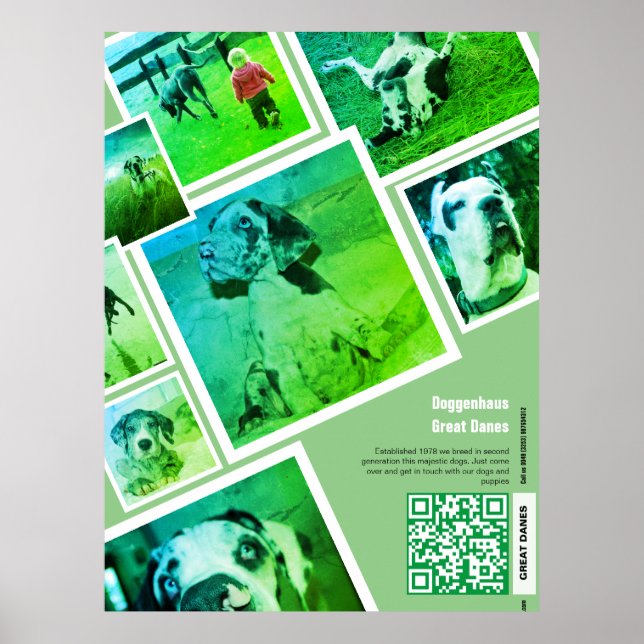 Huge Great Dane Kennel Promotion  Poster (Front)