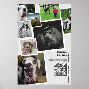 Huge Great Dane Kennel Promotion  Poster