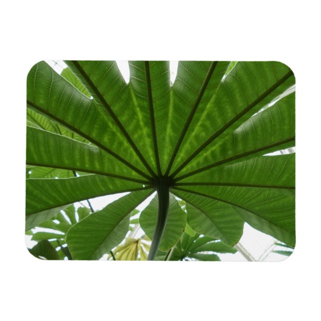 Huge Green Leaf 3"x4" Magnet (Horizontal)