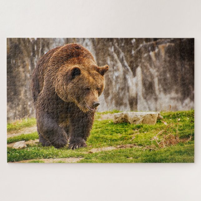 Huge Grizzly Bear In The Wild Animal Jigsaw Puzzle (Horizontal)