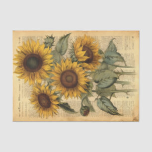 Huge Happy Vintage Sunflowers on Parchment Tissue Paper