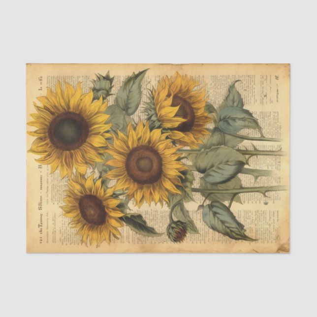 Huge Happy Vintage Sunflowers on Parchment Tissue Paper (Front)