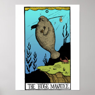 Huge Manatee poster