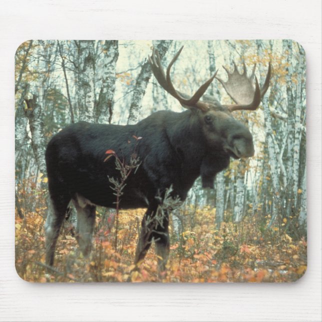 Huge Moose Mouse Mat (Front)