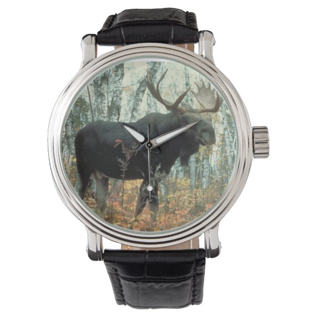 Huge Moose Watch (Front)