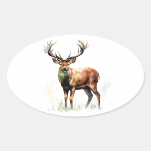 Huge Racked Deer  Oval Sticker
