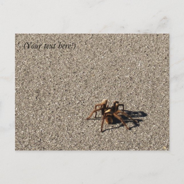 HuGe sPiDeR II Postcard (Front)