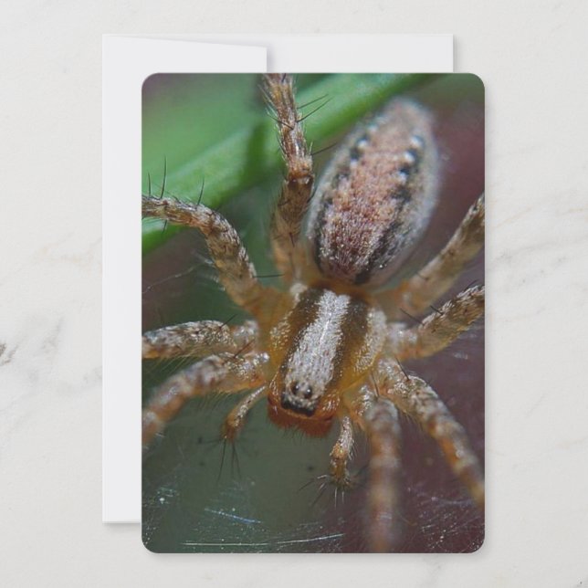 Huge Spider Invitation (Front)