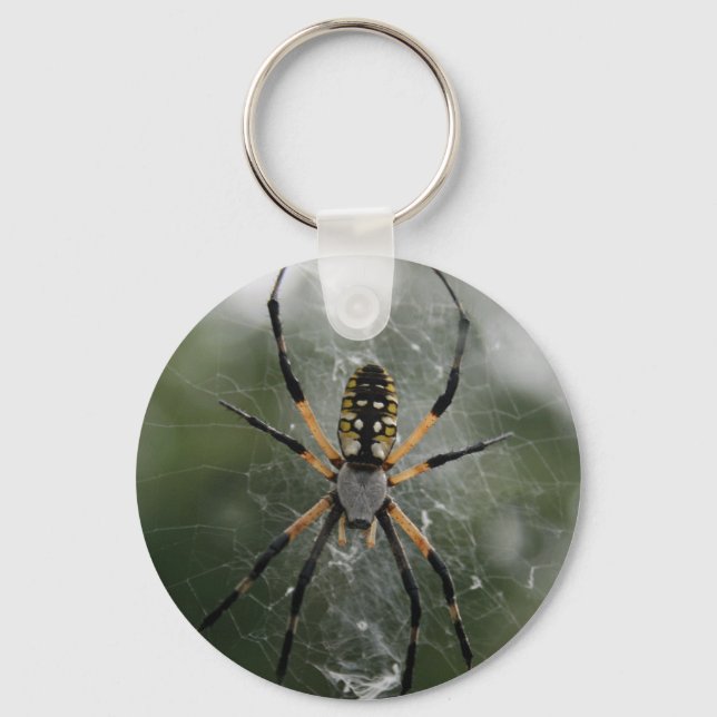 Huge Spider / Yellow & Black Argiope Key Ring (Front)